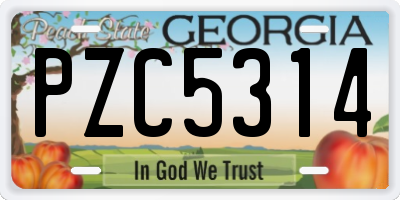 GA license plate PZC5314