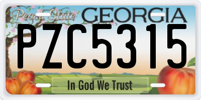 GA license plate PZC5315