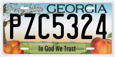 GA license plate PZC5324