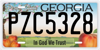 GA license plate PZC5328