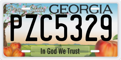GA license plate PZC5329