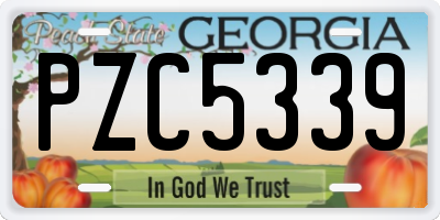 GA license plate PZC5339