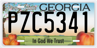 GA license plate PZC5341