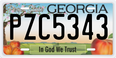 GA license plate PZC5343