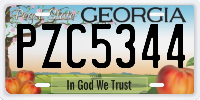 GA license plate PZC5344