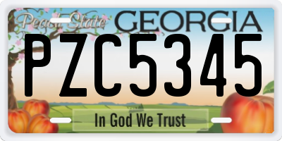 GA license plate PZC5345