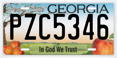 GA license plate PZC5346