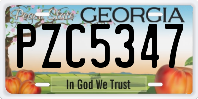GA license plate PZC5347