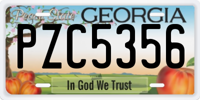 GA license plate PZC5356