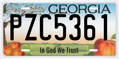 GA license plate PZC5361