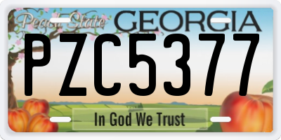 GA license plate PZC5377