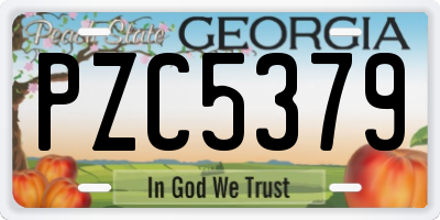 GA license plate PZC5379