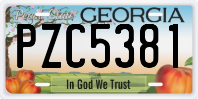 GA license plate PZC5381