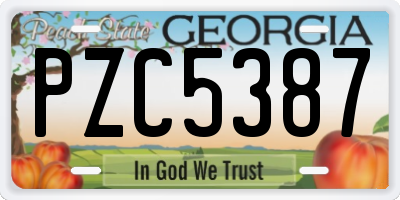 GA license plate PZC5387