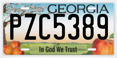 GA license plate PZC5389
