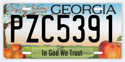 GA license plate PZC5391