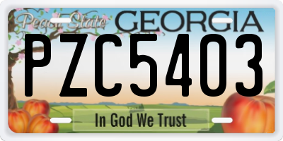 GA license plate PZC5403