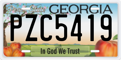 GA license plate PZC5419