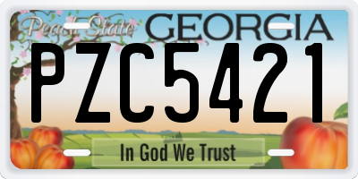 GA license plate PZC5421