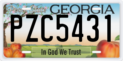 GA license plate PZC5431