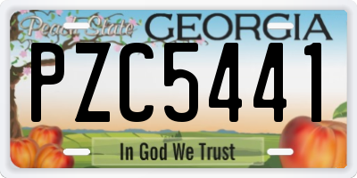GA license plate PZC5441