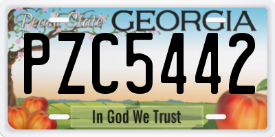 GA license plate PZC5442