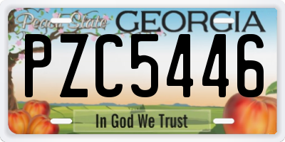 GA license plate PZC5446