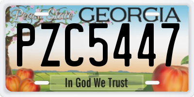 GA license plate PZC5447