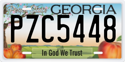 GA license plate PZC5448