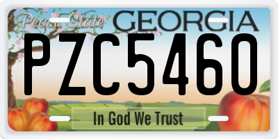 GA license plate PZC5460