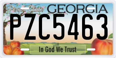 GA license plate PZC5463
