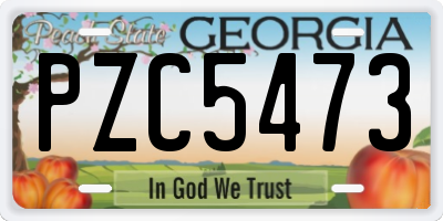 GA license plate PZC5473