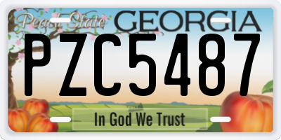 GA license plate PZC5487