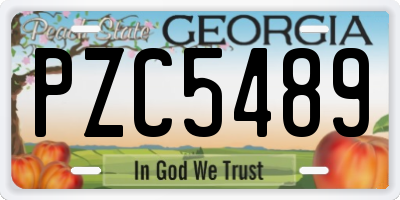 GA license plate PZC5489