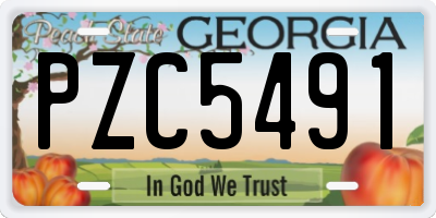 GA license plate PZC5491