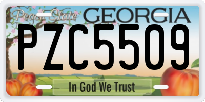 GA license plate PZC5509