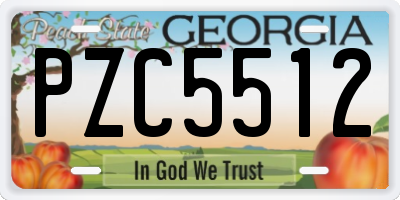GA license plate PZC5512