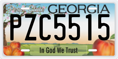 GA license plate PZC5515