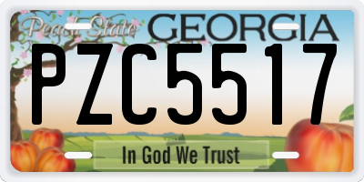 GA license plate PZC5517