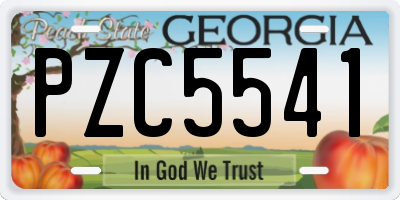 GA license plate PZC5541