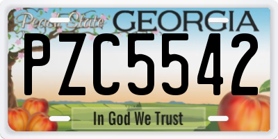 GA license plate PZC5542