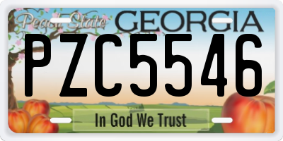 GA license plate PZC5546