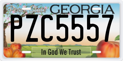 GA license plate PZC5557