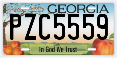 GA license plate PZC5559