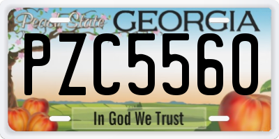 GA license plate PZC5560