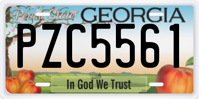 GA license plate PZC5561