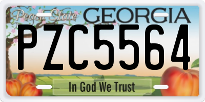 GA license plate PZC5564