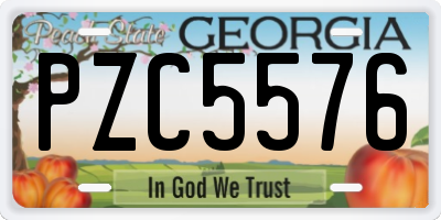 GA license plate PZC5576