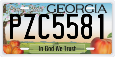 GA license plate PZC5581