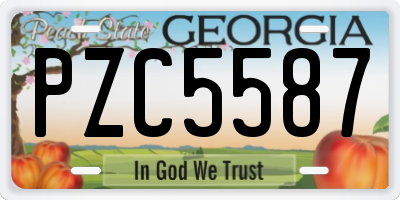 GA license plate PZC5587